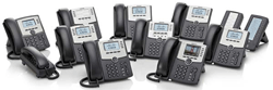 Cisco SPA500 IP Phones Consulting