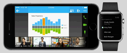 WebEx Meeting Center Online Conferencing Consulting Services