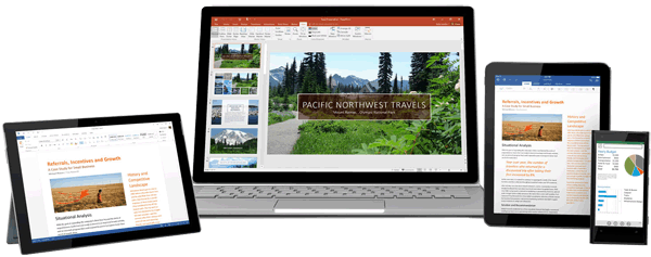 Word for Mac Consultants
